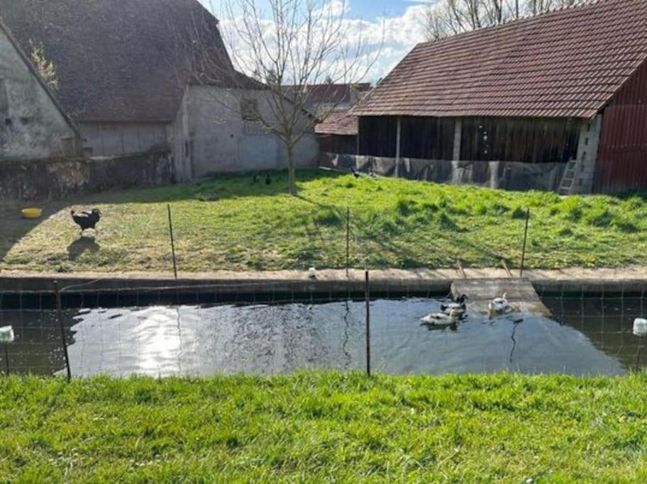 Maison Au Sein D'Une Ferme Villa Rahling Exterior photo